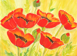 Mohn