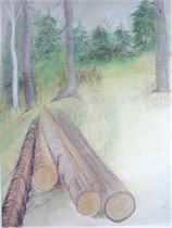Wald