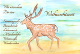 Wir wünschen dir