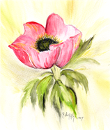 Anemone