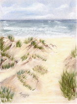 Dünen / Meer