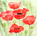 Mohn