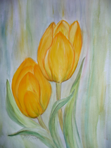 Tulpe