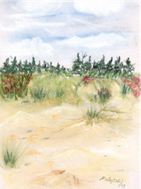 Strand / Ostsee
