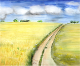 Feldweg