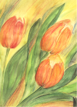 Tulpen
