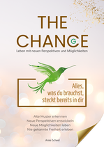 "The Chance" Coaching 3 Monate als Einzelbegleitung