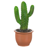 LÁMPARA CACTUS