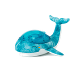 BALLENA TRANQUILA