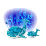 C.B. BALLENA TRANQUILA