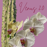 Venus Körperpraxis - 5 Termine