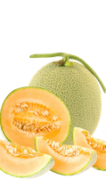 GTB-95-Green Honey Melon Boba(small) -100g