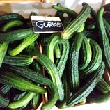 Bio-Gurke Sorte Saiko
