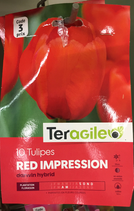 BULBES TULIPES RED IMPRESSION X 10