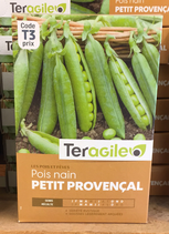 POIS NAIN PETIT PROVENCAL