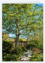 Japanese Garden, Greeting Card