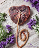 Digital Placenta Photo