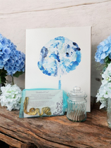 Placenta Keepsake Package