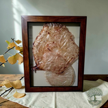 In the Veil Shadow Box