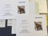 Gutschein Ponyplausch 1/2 Tag
