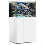 245 l Rahmenloses Meerwasser-Komplettaquarium mit Unterschrankfiltersystem Aqua Medic Armatus XD 300