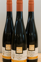 2022 Spätburgunder Rotwein -halbe Traube- trocken