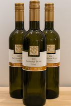 2023 Sauvignon Blanc trocken