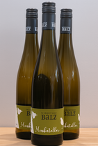 2024 Muskateller lieblich