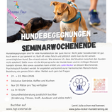Hundebegegnungen - Seminarwochenende mit Julia Recker