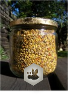 Pollen sec - 200gr / plus de disponibilité
