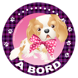 STICKER CAVALIER KING CHARLES (réf: AB-Cavalier 01 F2)