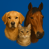 Mit diesem einfachen Trick kannst du auf deiner Website eine Suchfunktion einbauen:      Lade ein Lupen-Icon herunter (siehe auch Icon-Tipps)     Pl