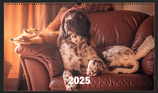 Wandkalender 2025 - Wildlife