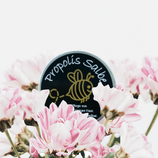 Propolis Salbe 15g