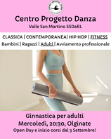 Ginnastica per adulti