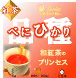 ≪完売≫べにひかり［紅茶・要］