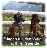 Spende "Jagen für den Wald"