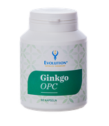 Ginkgo OPC 90 Kapseln