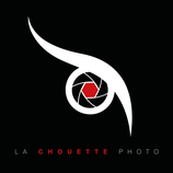 DON EN SOUTIEN DE LA CHOUETTE PHOTO