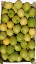 Limoni Siciliani in OFFERTA