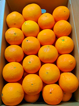 SUPER OFFERTA 29 KG di Arance Siciliane Fioroni coltivate a Ribera