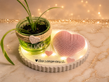 Herzensmensch Geschenkset mit Pflanze & Dekoherz