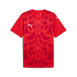 Puma Team Ultimate Jersey