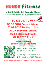 HuFi für Geübte bei Gesunde Pfoten, SO 6.9.-4.10.2026, 12:30-13:30 Uhr