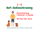 Hundefitness 1:2 (60 min)