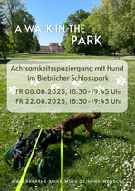A Walk in the Park