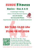 Hundefitness Basics bei Gesunde Pfoten, SO 21.6.-19.7.2026, 11-12 Uhr