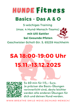 Hundefitness Basics bei Gesunde Pfoten, SA 15.11.-13.12.2025, 18-19 Uhr