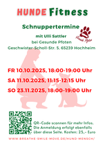 Hundefitness Schnuppern