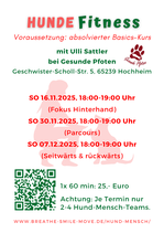 Hundefitness Fokusthemen - SO 18-19 Uhr